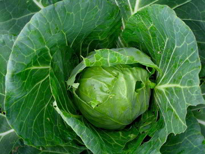 292589_862701423433_1706013398_n