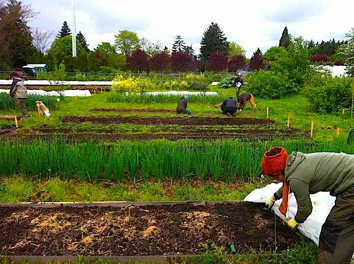 294986_3995005036895_1671245567_n