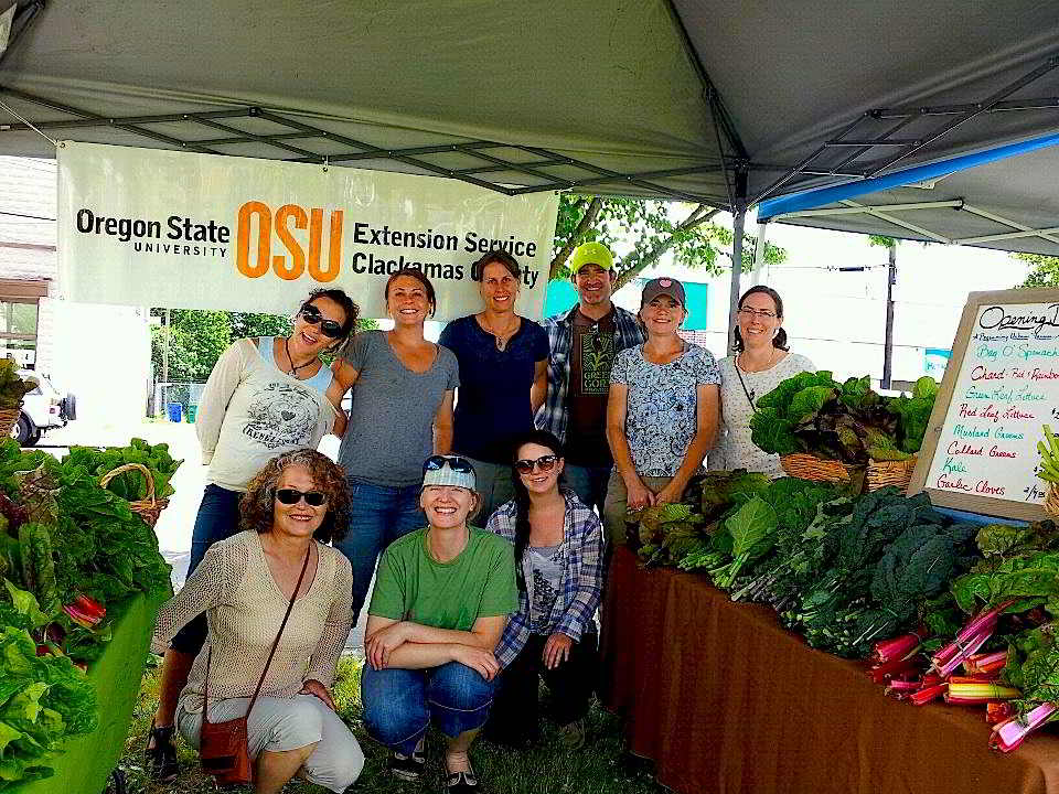 301801_430691463630267_1140385827_n-1