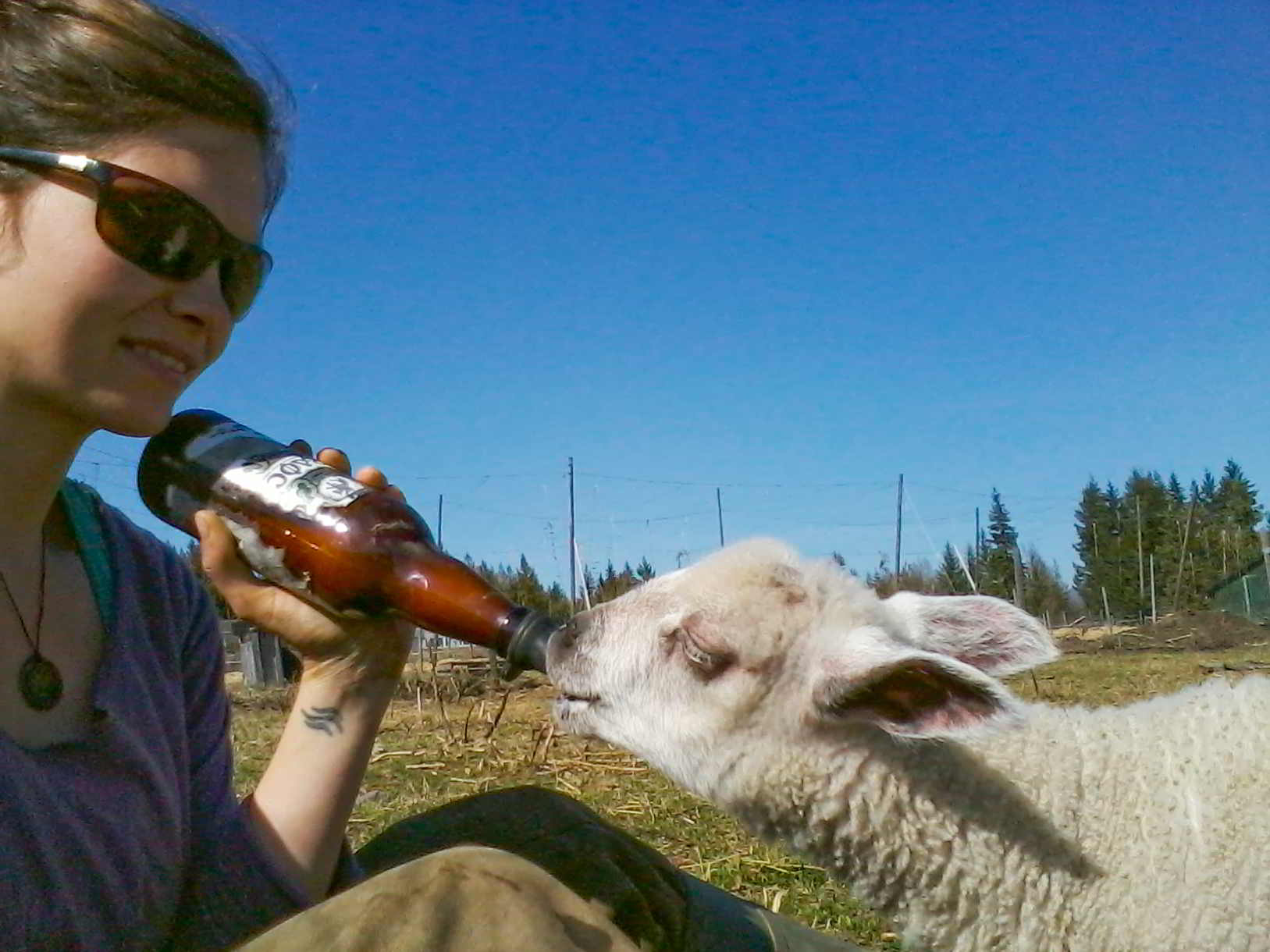 Crannog Ales + Farm-5