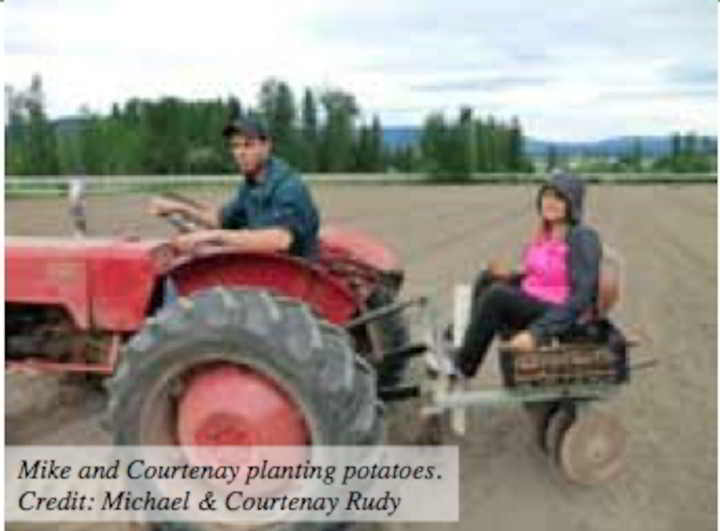 rudys-planting-135