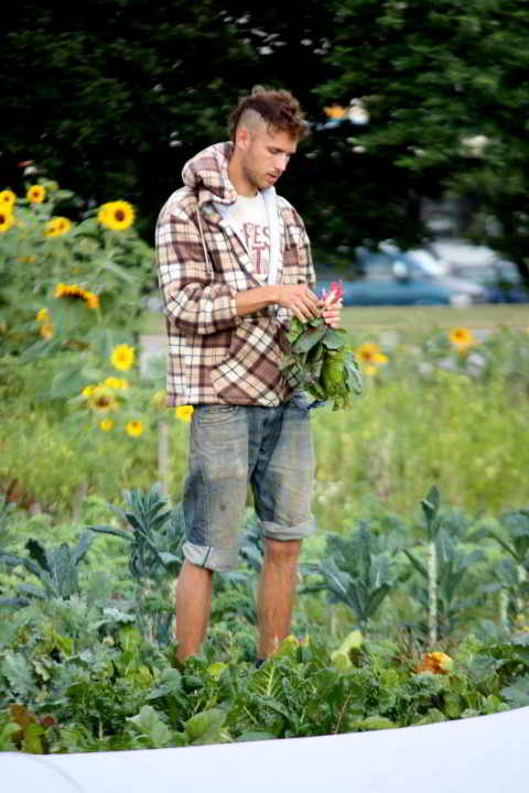 Farmer harvesting kale