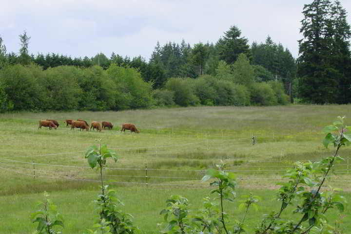 Windhorse Farm photo edits-5