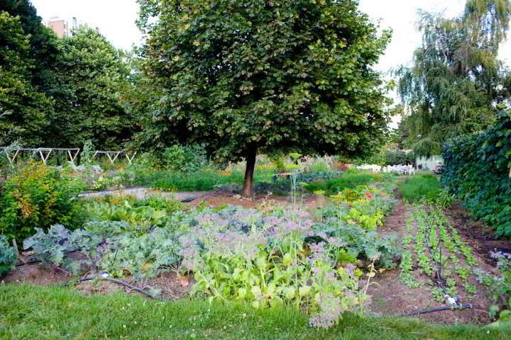 7849310522_2e353274d5_b