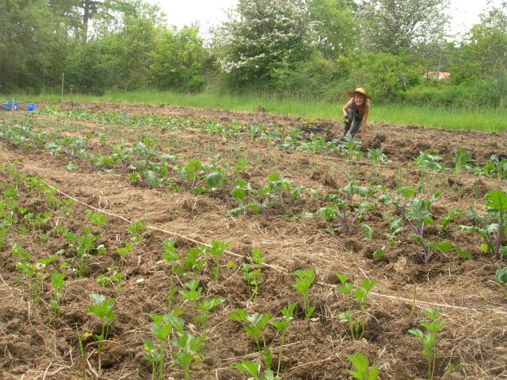 Colleen Popyk Darn Tootin Farm
