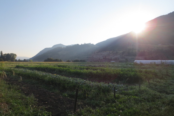 Golden Ears Farm Chase BC
