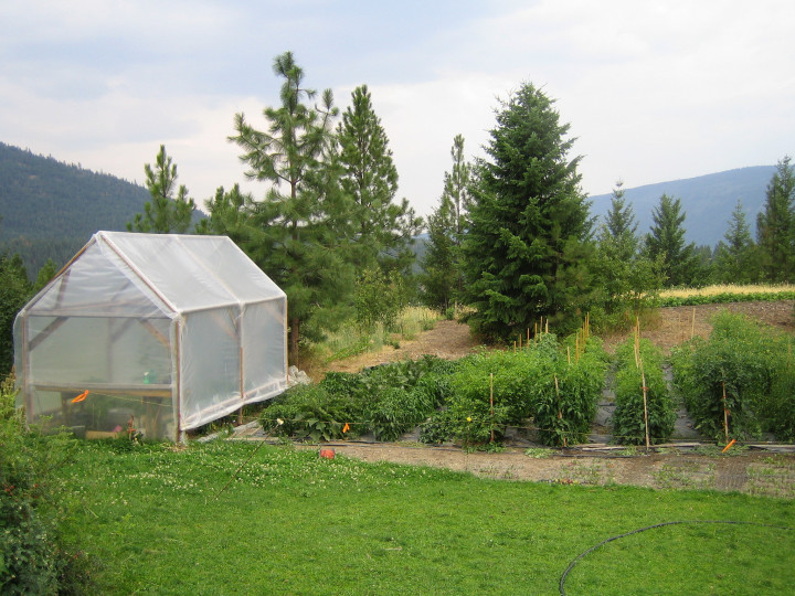 Certfied Organic Land for Lease Young Agrarians