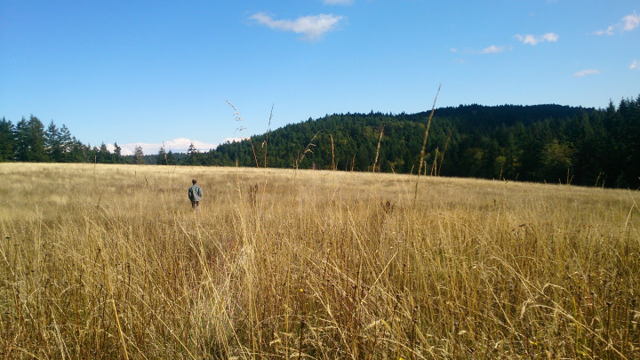 LoneField_YA_Article