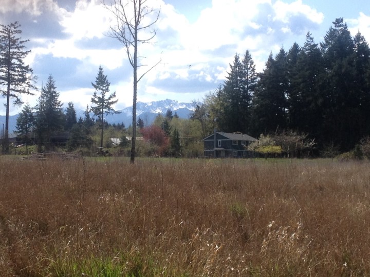 Field view of Salt & Harrow organic Farm on Vancouver Island