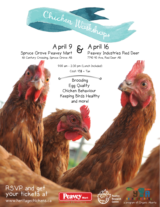 Small Flock Chicken Workshop Poster Small Flock Chicken Workshop Poster