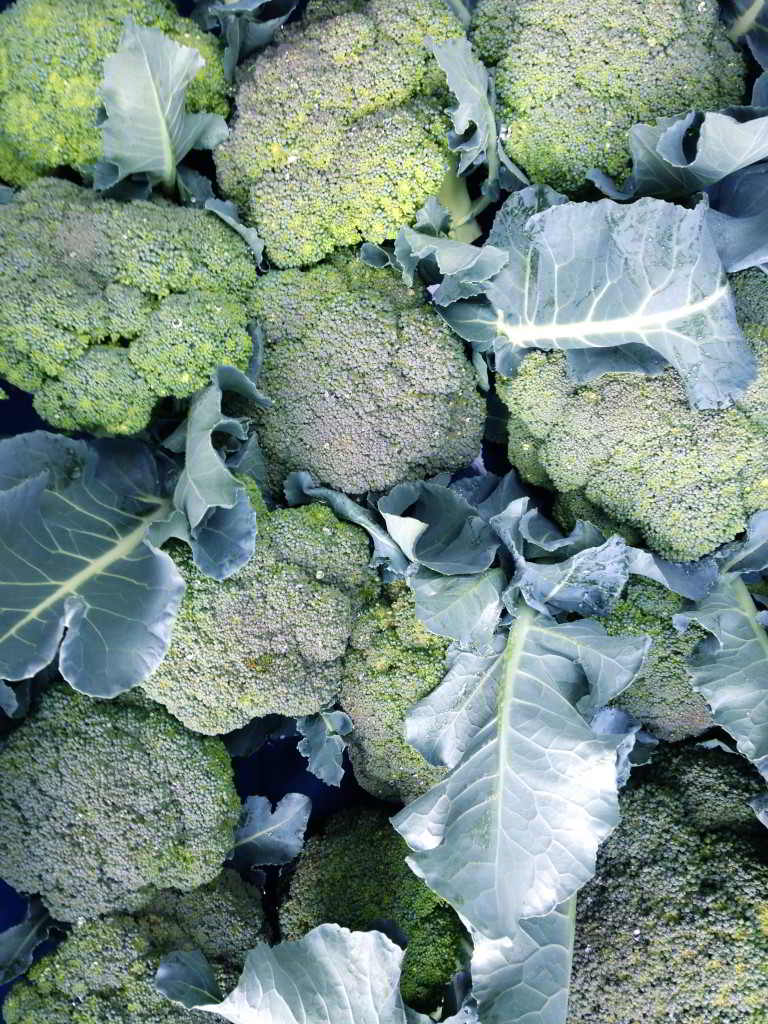 farm events food processing forum broccoli