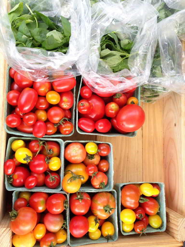 Farm Events, Food Processing Forum, Tomatoes 