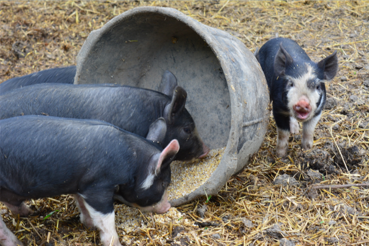 Sunnie Valley_Family