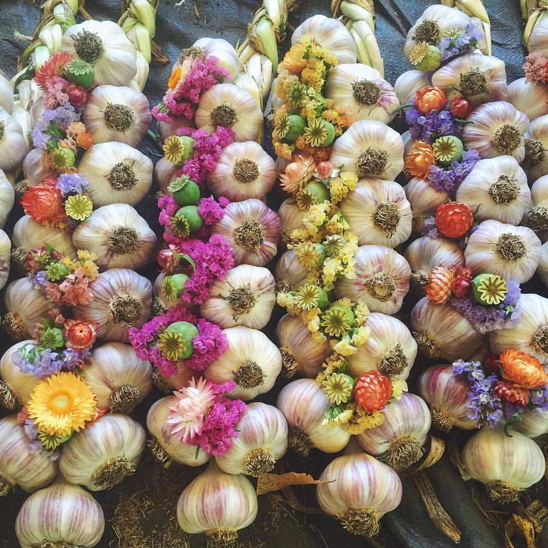 Bullock Lake Contra Dance - Garlic Braids