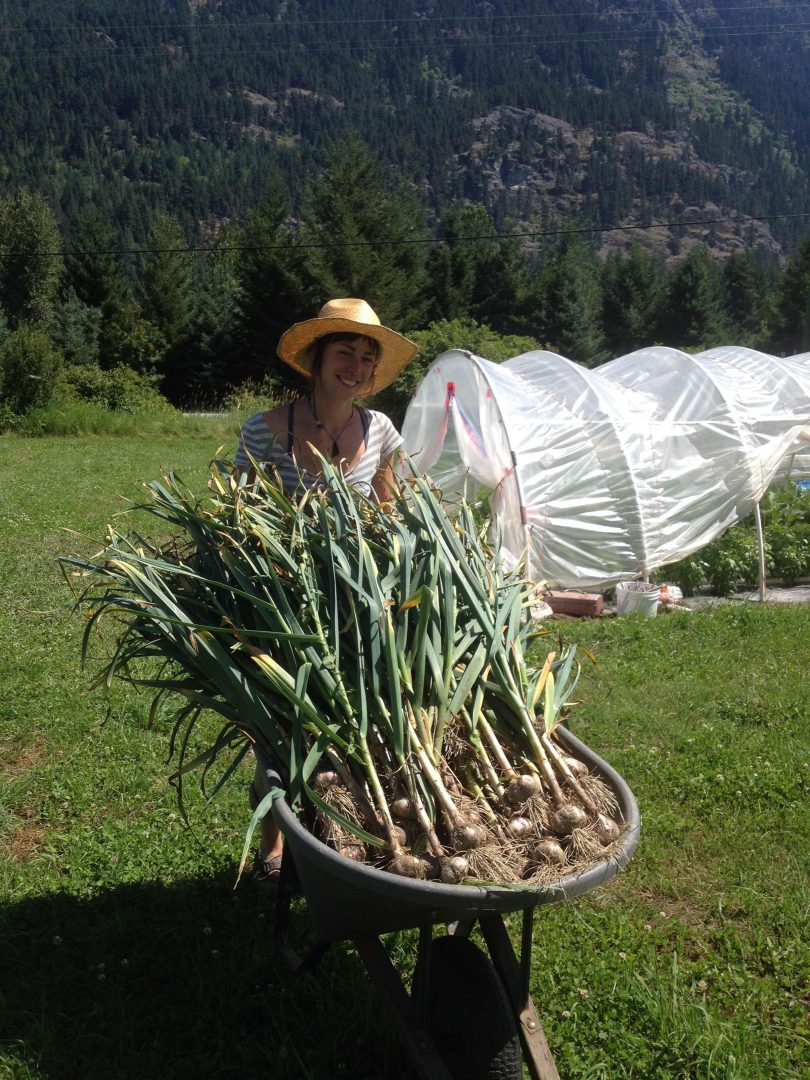 Rootdown Farm Internship