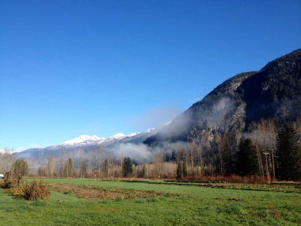 Rootdown Farm Internship