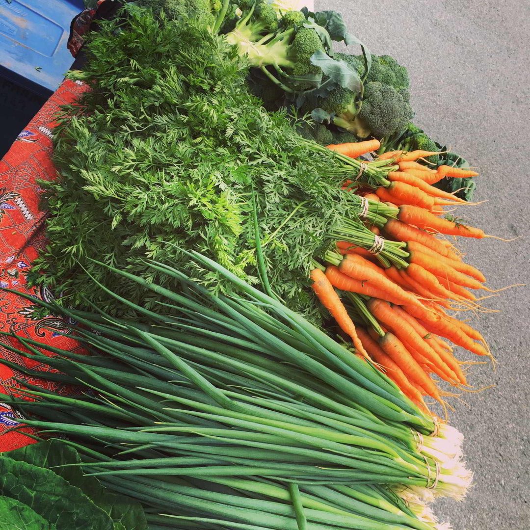 Rootdown Farm Internship