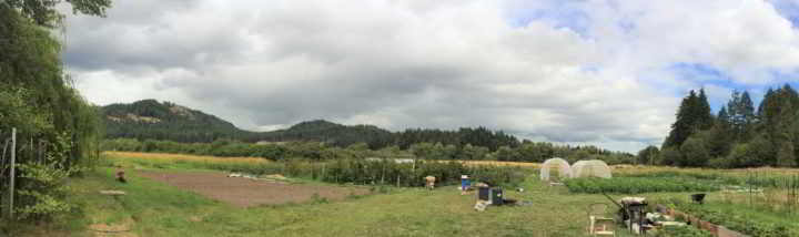 Lohbrunner Community Farm Co-operative