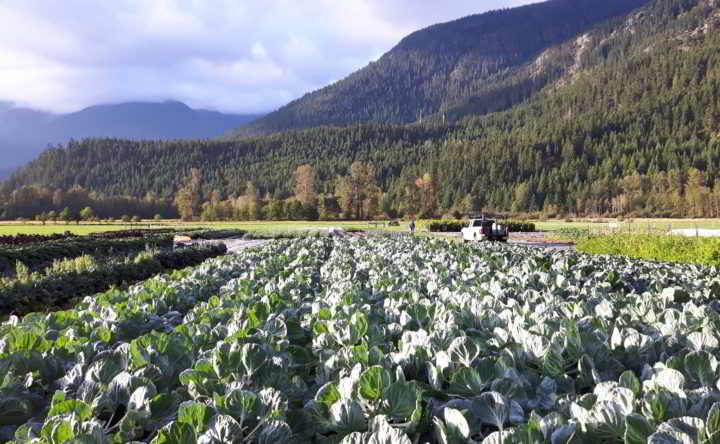 farm job plenty wild farm