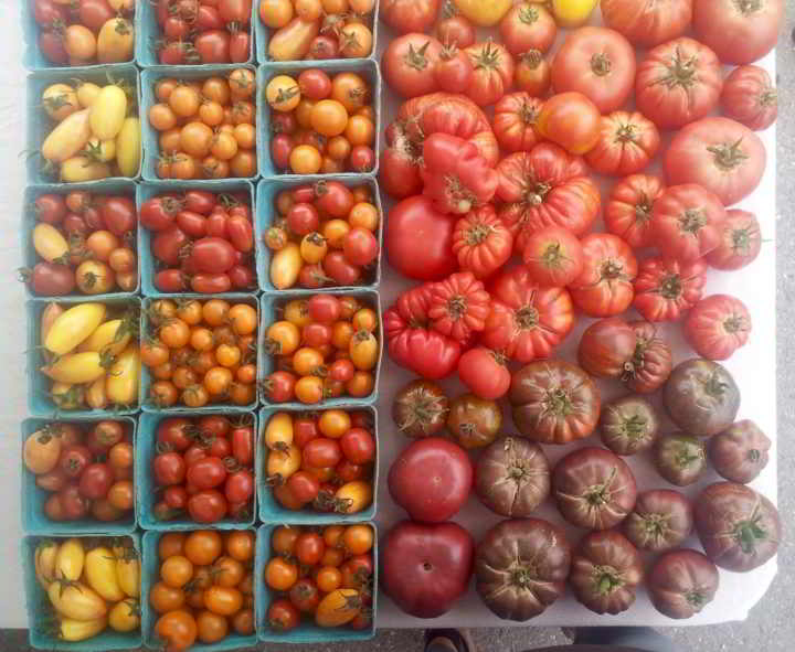 farm job plenty wild farm