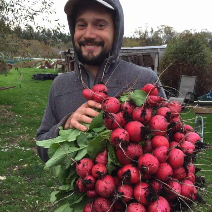Graham Bradley of Gabriola Food Hub holds an armful of rosy Radishes