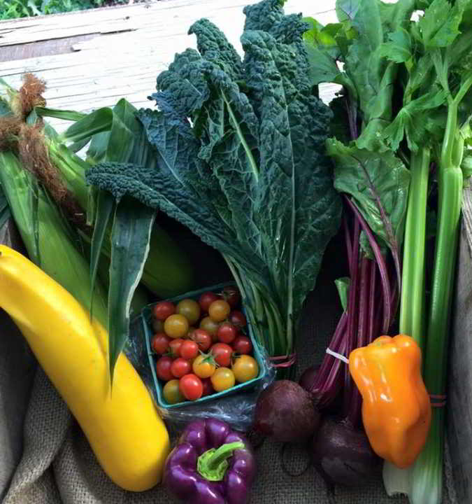 Gabriola Food Hub Summer Box Program filled with seasonal vegetables