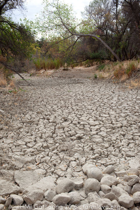 screen-shot-2016-11-11-at-11-27-34-am