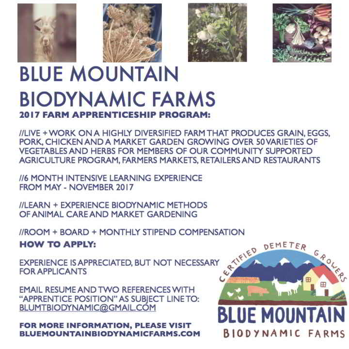 BMT APPRENTICE 2017 SQUARE DRAFT.001