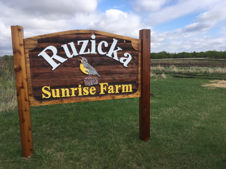 apprenticeship-orientation-2017-2