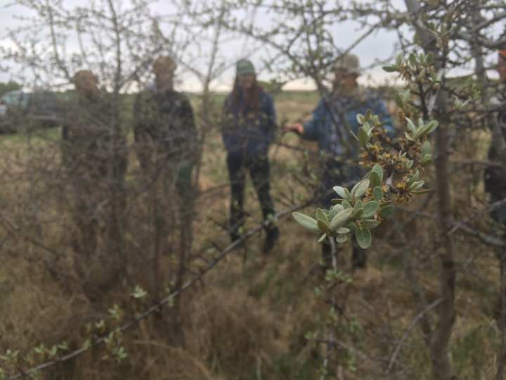 apprenticeship-orientation-2017-8