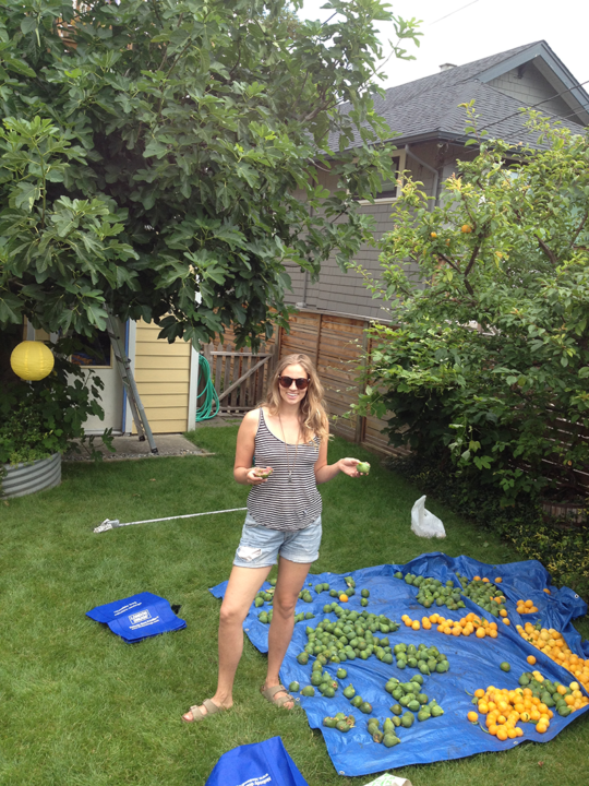 Vancouver Fruit Tree Project