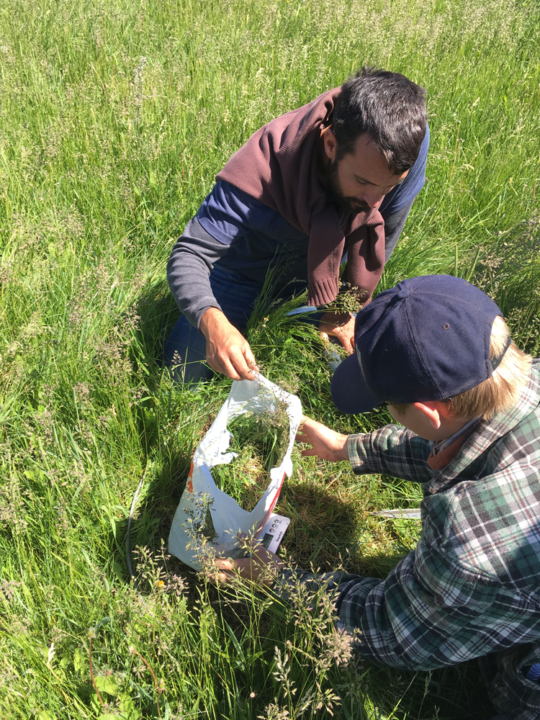 young-agrarians-derek