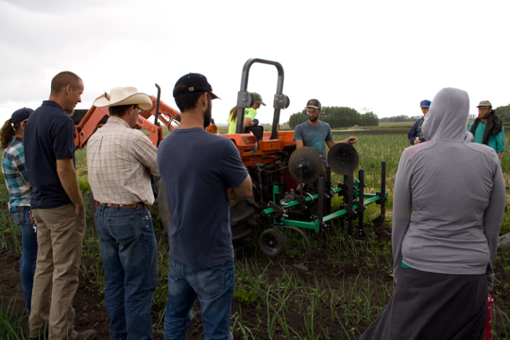 young-agrarians-mackenzie