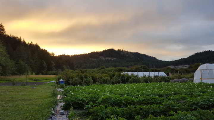 Lohbrunner Community Farm