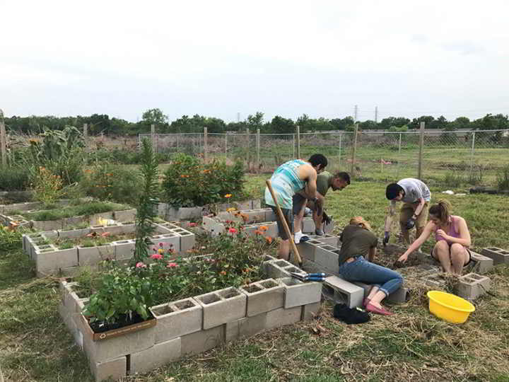 19025033_1671634929531347_2468445280838504391_o