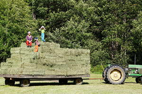 Glenora Farm Hay Wagon