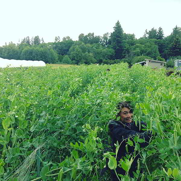 Zaklan Heritage Farm Job