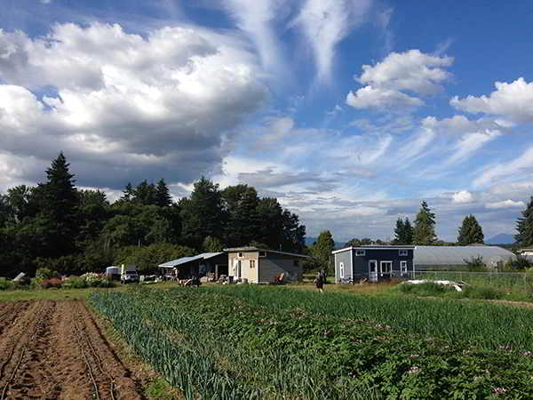 Zaklan Heritage Farm Job