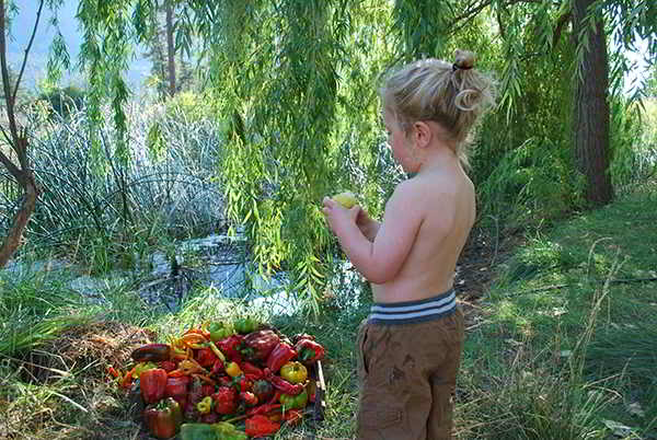 One Love Farm