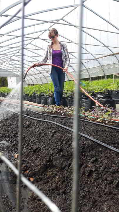 Dancing Dandelion Business mentorship farmer Watering seedlings