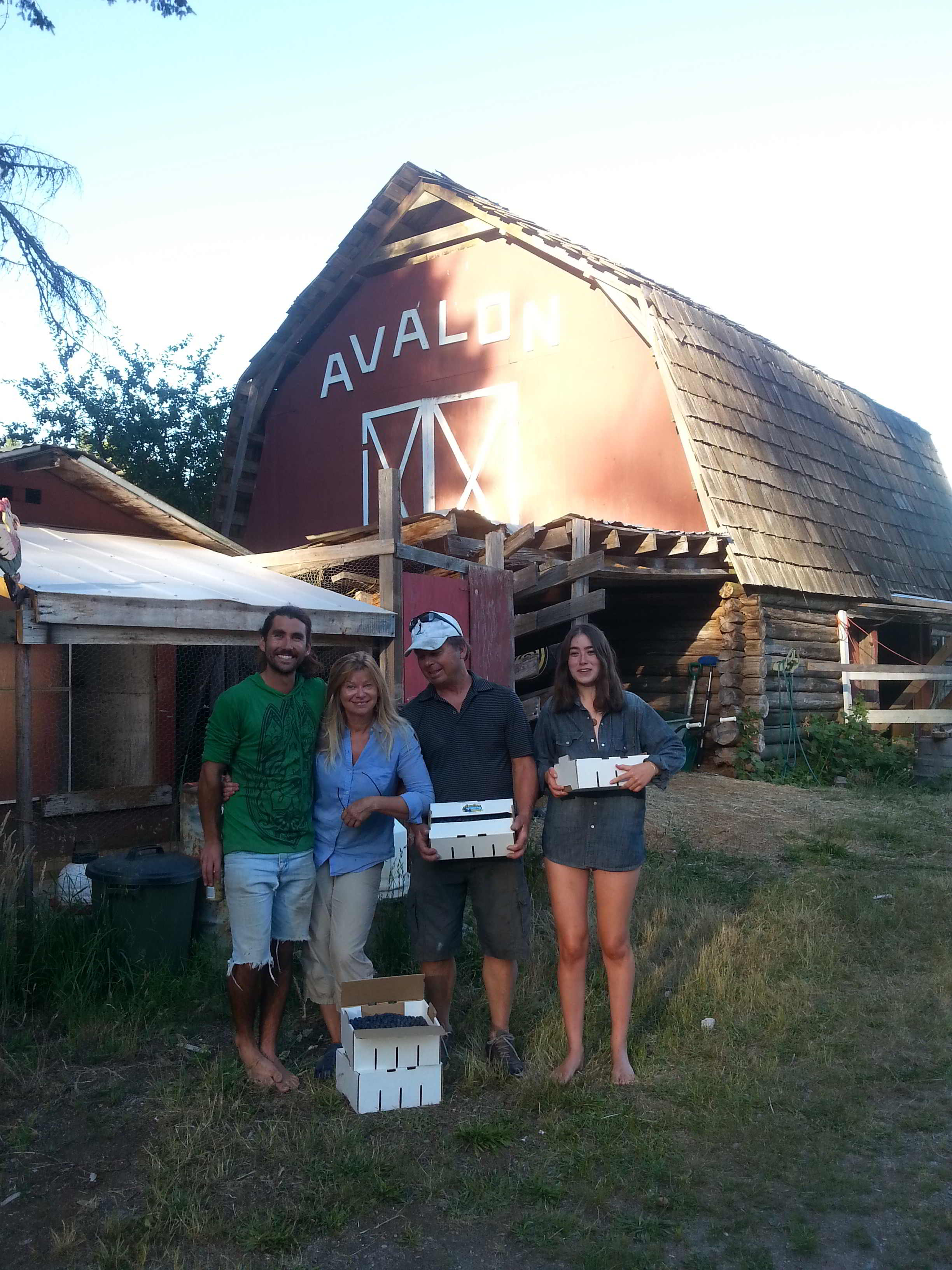 Avalon Organic Blueberry Farm - farm crew