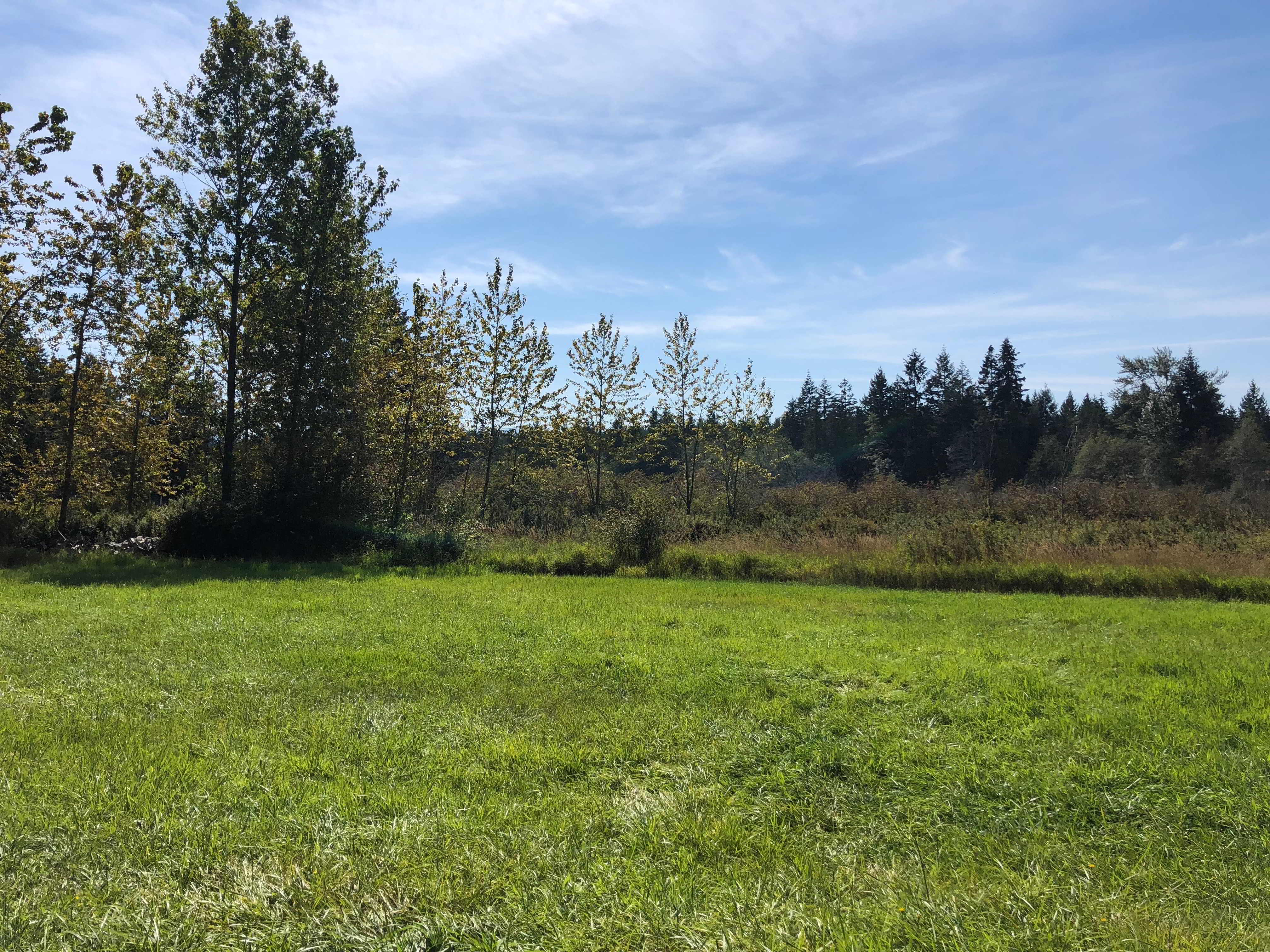 Land Matching opportunity in yellow point