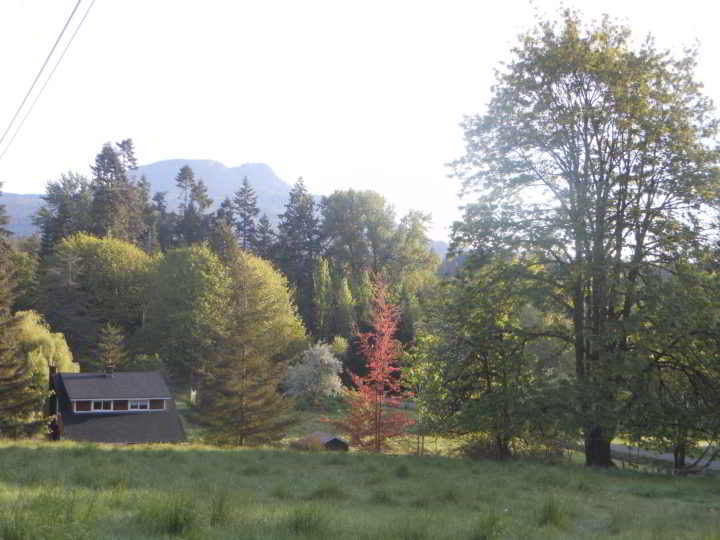 DSCN9078
