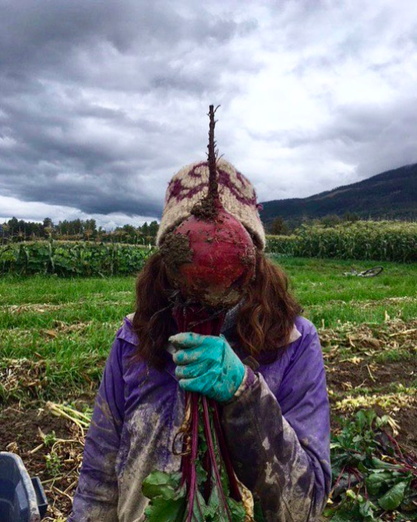 Find Out More: Click here for a short drone video of the farm.