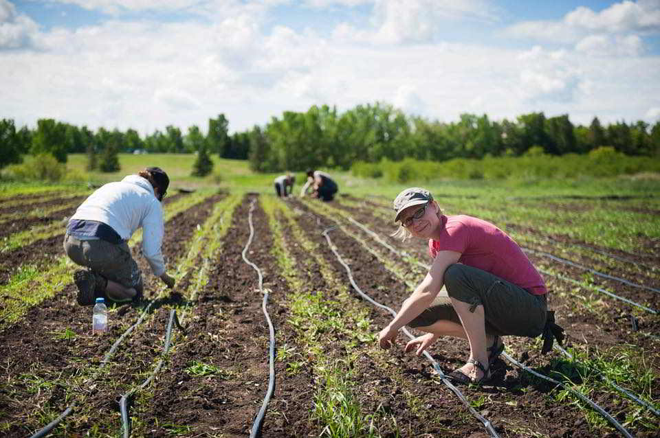 camrose alberta jobs