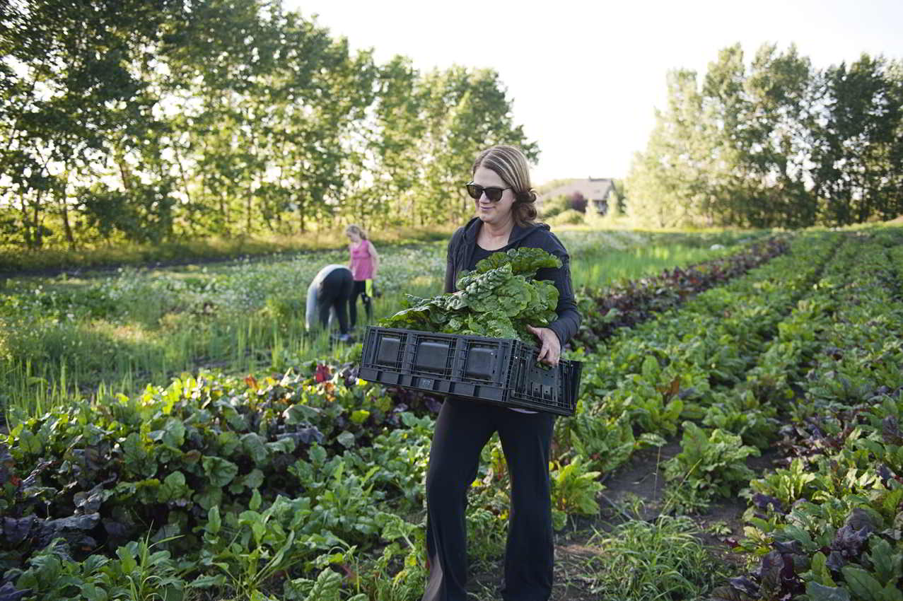 camrose alberta jobs