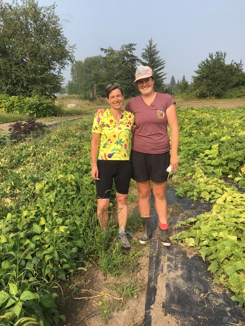 sorrento centre farm