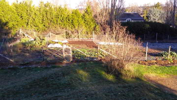 IMG_20181204_101359578