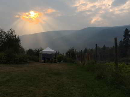 ravine creek garden farm