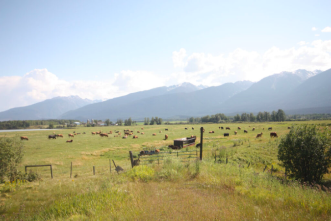 B.C. changes ALR rules to allow more dwellings on farms